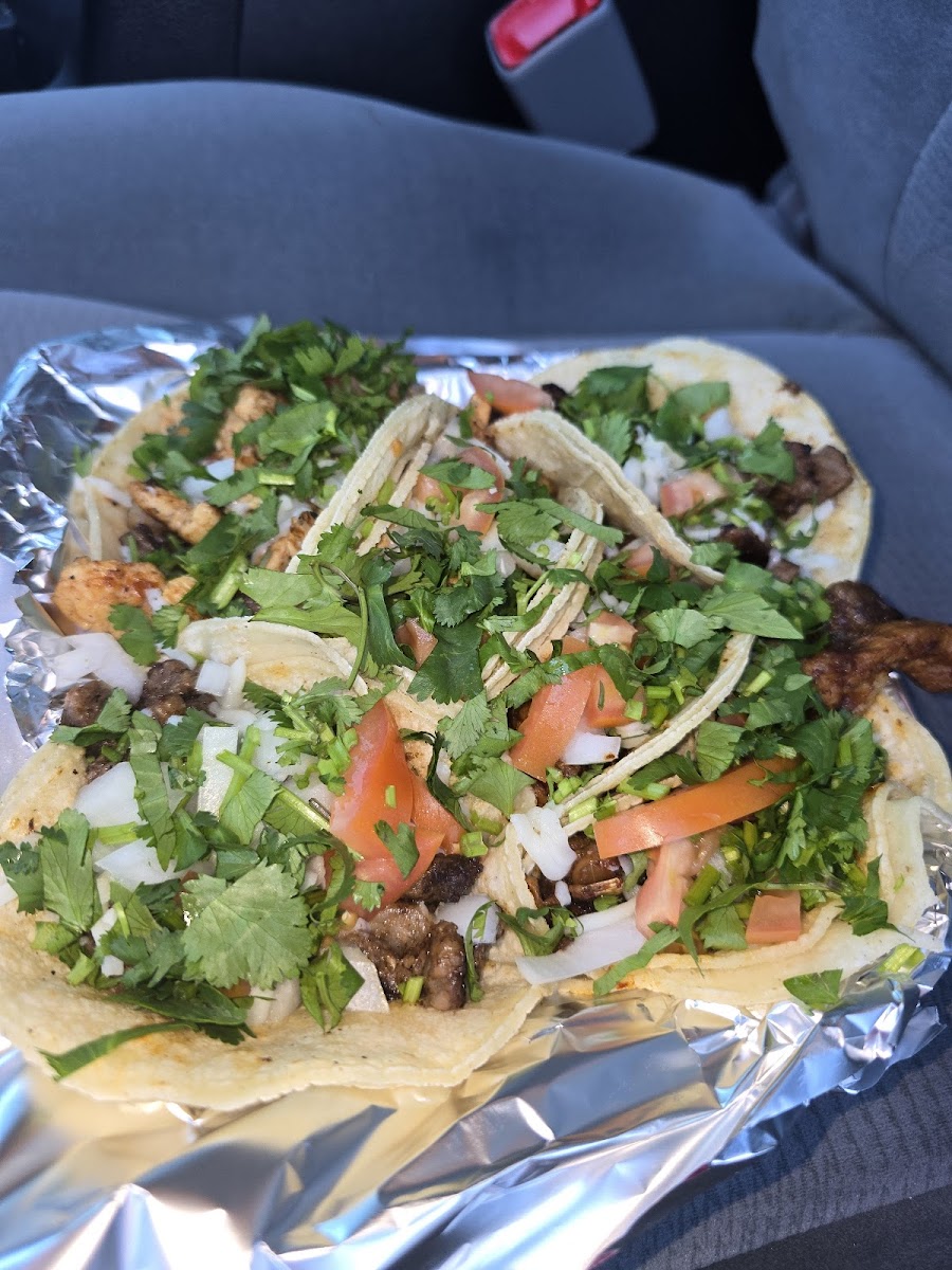 Michelle's Taqueria Photos 2